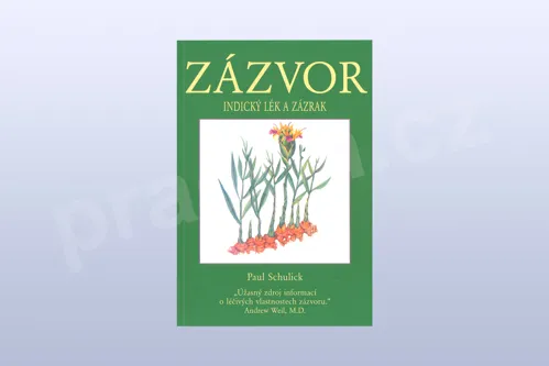 Zázvor – Indický lék a zázrak, Paul Schulick