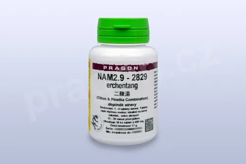 NAM2.9 - erchentang - pian/tablety PRAGON