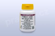 TTW9.9 - baizi yangxin tang - pian/tablety PRAGON