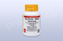 WLC5.9 - bazhentang - pian/tablety SINECURA
