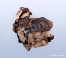 Kůra mandarinky, chenpi – kval. A (yao) 20 g_1 (1)