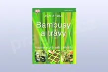 Bambusy a trávy - Jon Ardle