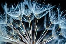 Babí léto dle čínské medicíny