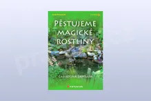 Pěstujeme magické rostliny