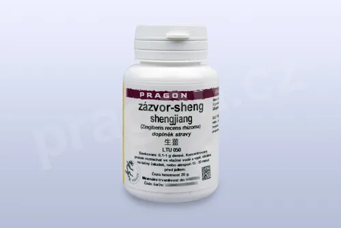 zázvor-sheng, shengjiang - 20 g - instantní prášek_p