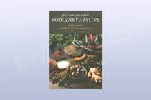 Jak využít pro zdraví potraviny a byliny
