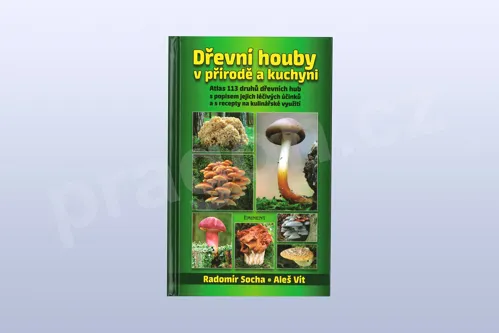 Dřevní houby v přírodě a kuchyni, Radomír Socha, Aleš Vít