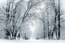 O zimě z pohledu čínské medicíny