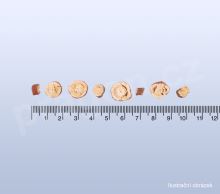 Lékořice, gancao, Glycyrrhizae radix - 50g_2_detail (2)