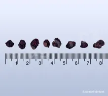 Schizandra čínská, magnolka, wuweizi (celá) 50 g_detail (2)