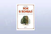 Rok s bonsají - Petr Říha