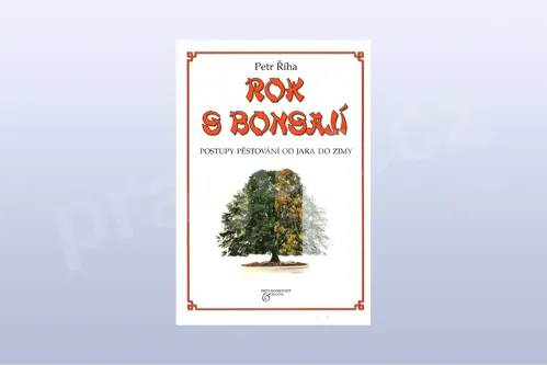 Rok s bonsají - Petr Říha