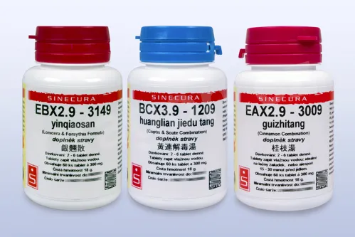 Kombinace EBX2.9 + BCX3.9 + EAX2.9