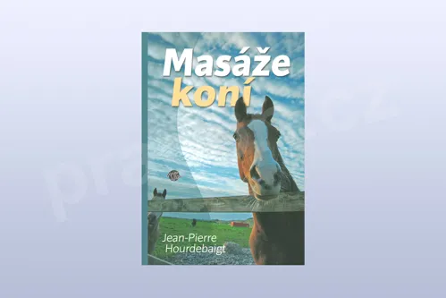 Masáže koní