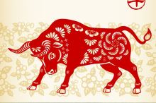 Kovový buvol - čínský (lunární) nový rok začíná 12. února 2021