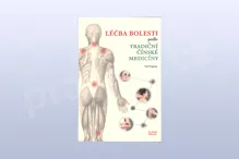 Léčba bolesti podle tradiční čínské medicíny, Liu Naigang