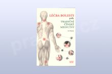 Léčba bolesti podle tradiční čínské medicíny, Liu Naigang