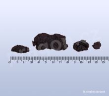 rehmánie (vařená), shudihuang, Rehmanniae radix praep. - 40 g_detail (2)