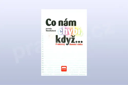 Co nám chybí, když... - Jarmila Mandžuková 