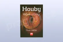 Houby a jejich léčivé účinky - Pavel Valíček Houby a jejich léčivé účinky - Pavel Valíček
