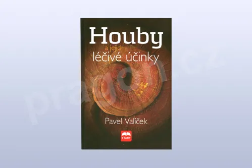 Houby a jejich léčivé účinky, Pavel Valíček - kniha