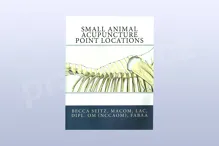 Small animal acupuncture point locations Small animal acupuncture point locations