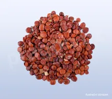 Jujuba – cicimek čínský ostnitý, suanzaoren - 40g_1 (1)