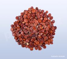 Jujuba – cicimek čínský ostnitý, suanzaoren - 40g_1 (1)