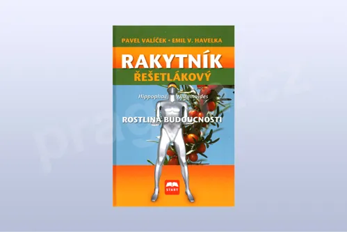 Rakytník řešetlákový