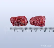 Jujuba červená, bez pecek, dahongzao, Ziziphi fructus 50 g_detail (2)