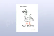 Pulse qualities - Bartosz Chmielnicki