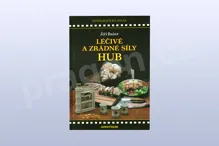 Léčivé a zrádné síly hub, Jiří Baier