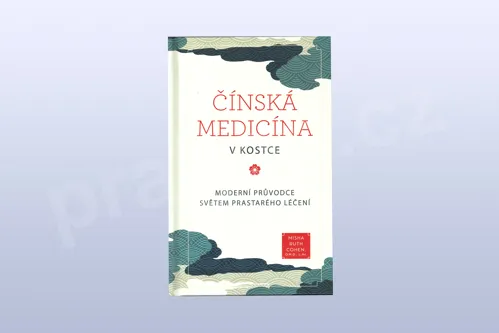 Čínská medicína v kostce, Misha Ruth Cohen