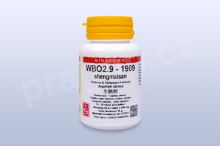 WBO2.9 - shengmaisan - pian/tablety 60 tbl. SINECURA