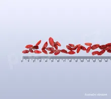 kustovnice čínská - GOJI - gouqizi 80 g_detail (2)