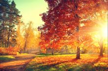 O podzimu z pohledu čínské medicíny