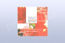 Wandering on Strings - Elsa