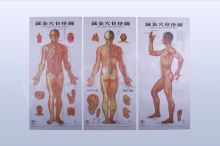 Akupunkturní mapy těla 3 ks, rozměr map 44 × 88 cm