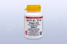 WLF1.9 - danggui yinzi - pian/tablety 60 tbl. SINECURA