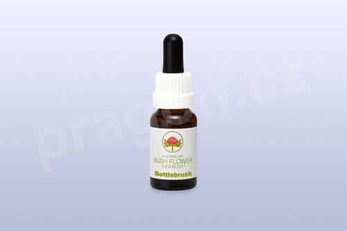 Bottlebrush, australská květová esence 30 ml