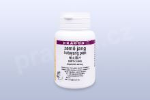 země jang - butuyang - pian/tablety 60 tbl. PRAGON