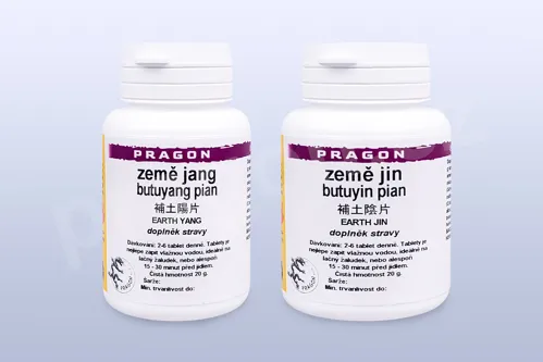 Země jang a Země jin - Podzimní dvojí řízení dvou hybatelů PRAGON