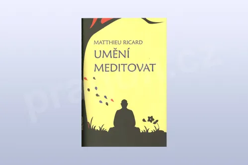 Umění meditovat, Matthieu Ricard