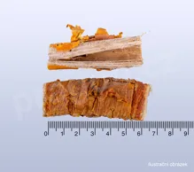 moruše-kořen, sangbaipi , Mori cortex  - 40 g_detail (2)
