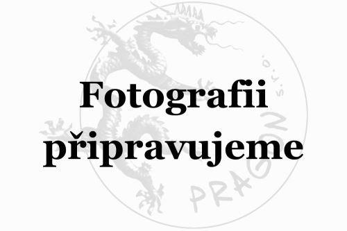 NCM1.9 - jinqiancaopian - pian/tablety PRAGON