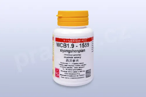 WCB1.9 - xiyangshenpian - pian/tablety
