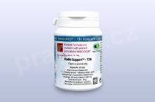 Opora podstaty - T36 pian/tablety 60 tbl.