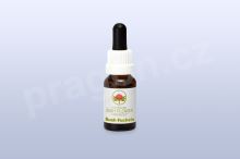 Bush Fuchsia, květová esence 30 ml Bush Fuchsia, květová esence 30 ml