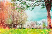 O jaru z pohledu čínské medicíny