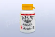 WLH8.9 - ganmai dazao tang - pian/tablety 60 tbl. SINECURA WLH8.9 - ganmai dazao tang - pian/tablety 60 tbl. SINECURA